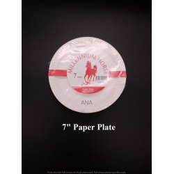 7 PAPER PLATE
