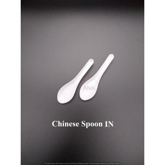 CHINESE SPOON IN