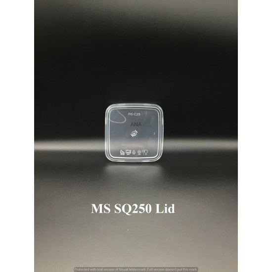 MS SQ250 LID 