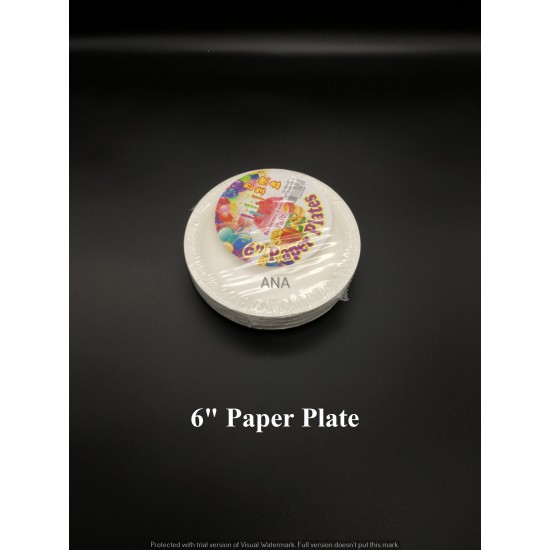 6 PAPER PLATE