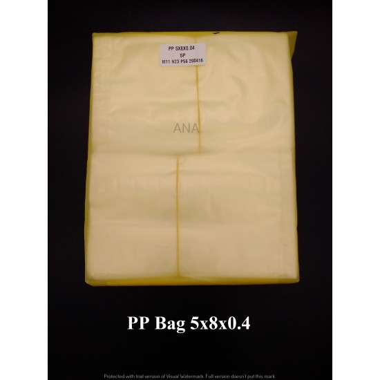 PP BAG 5X8X04