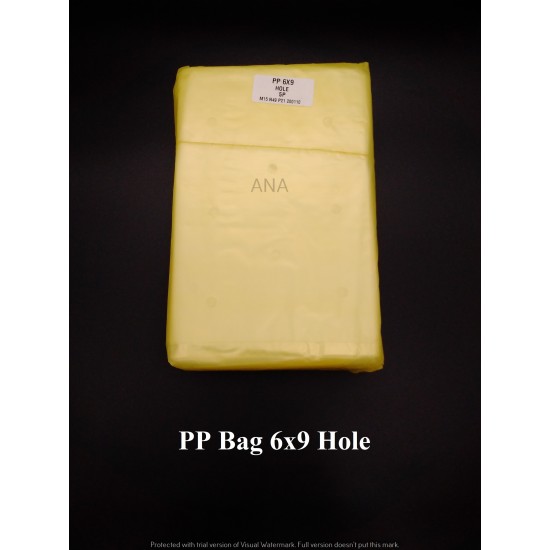 PP BAG 6X9 HOLE