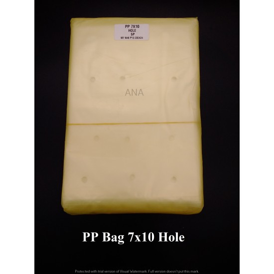 PP BAG 7X10 HOLE