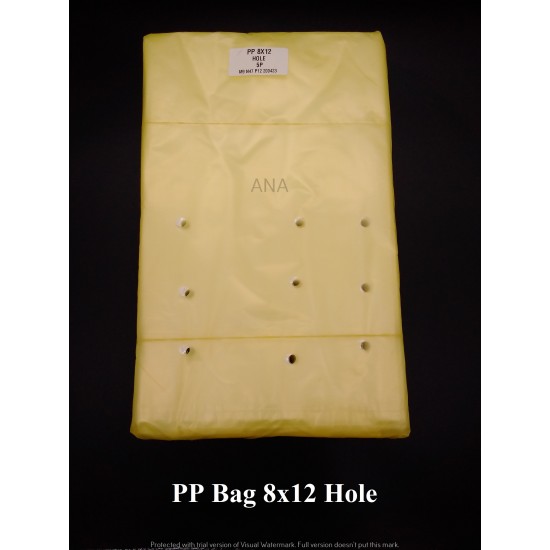 PP BAG 8X12 HOLE