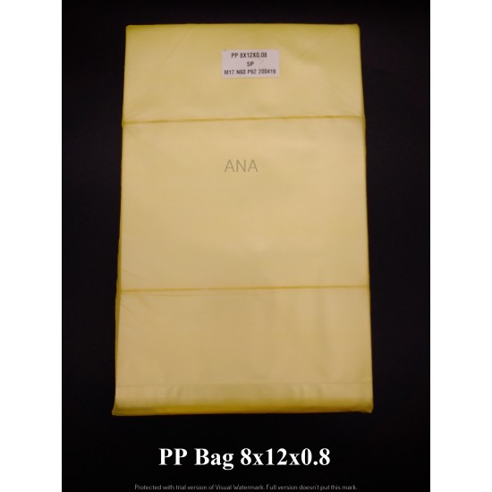 PP BAG 8X12X08