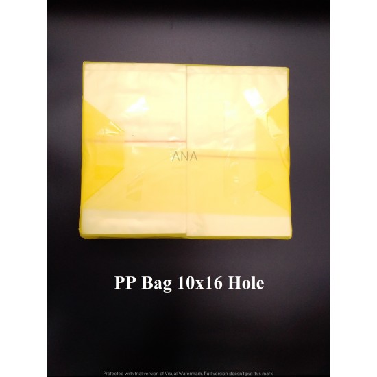 PP BAG 10X16 HOLE