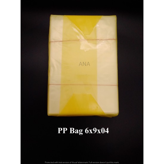 PP BAG 6X9X04