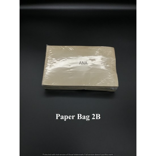 PAPER BAG 2B